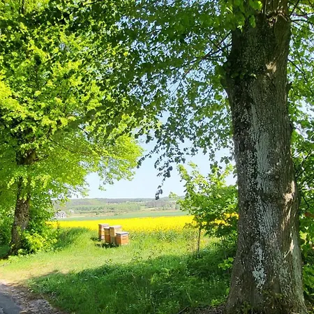 아파트 Maryja Z Prywatnym Duzym Jacuzzi I Sauna Przystan Pod Niebem