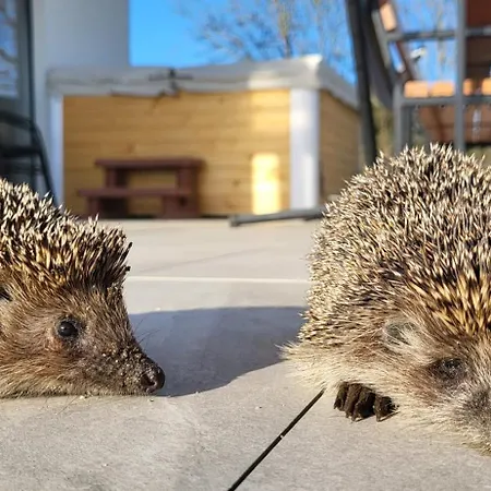 Maryja Z Prywatnym Duzym Jacuzzi I Sauna Przystan Pod Niebem דירה Leczyce