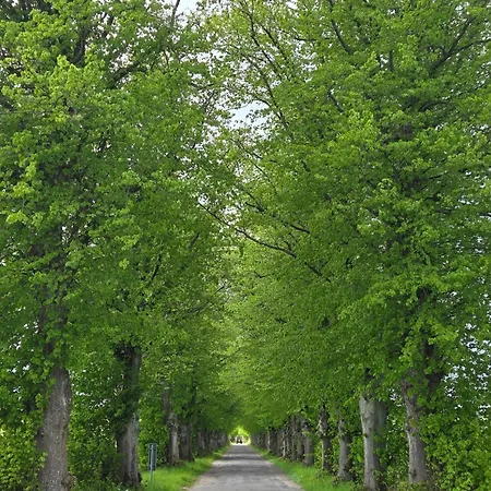 아파트 Maryja Z Prywatnym Duzym Jacuzzi I Sauna Przystan Pod Niebem Leczyce