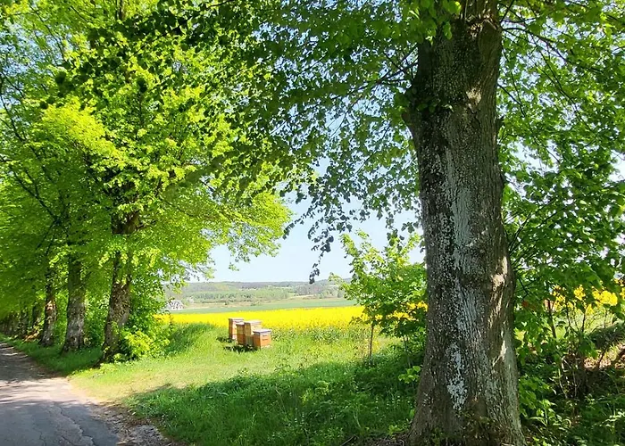 公寓 Maryja Z Prywatnym Duzym Jacuzzi I Sauna Przystan Pod Niebem