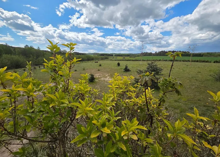 Maryja Z Prywatnym Duzym Jacuzzi I Sauna Przystan Pod Niebem