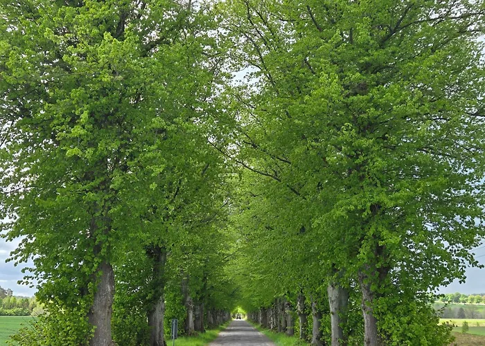 Apartmán Maryja Z Prywatnym Duzym Jacuzzi I Sauna Przystan Pod Niebem Leczyce